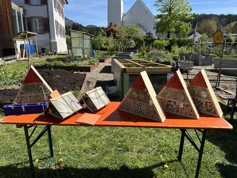 Frühjahrsmarkt OGV Schlins