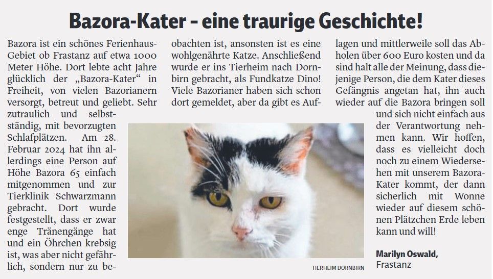 Verschleppter Bazora-Kater wieder zurück in Freiheit