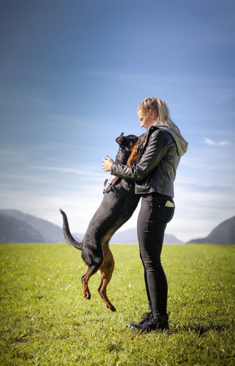 Vorfall mit Hund