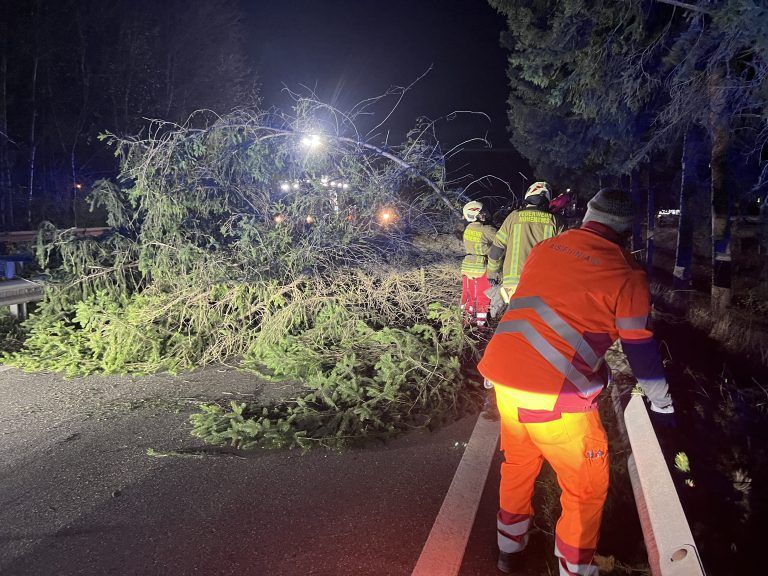 Baum auf Abfahrt Hohenems gestürzt
