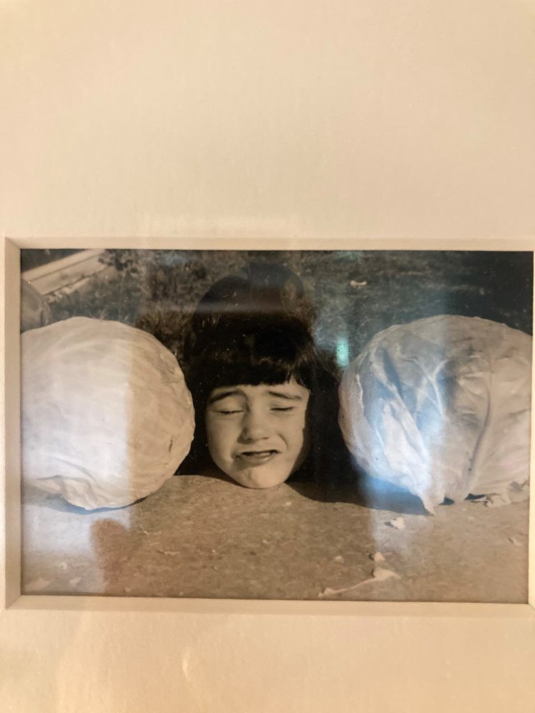 karin amann