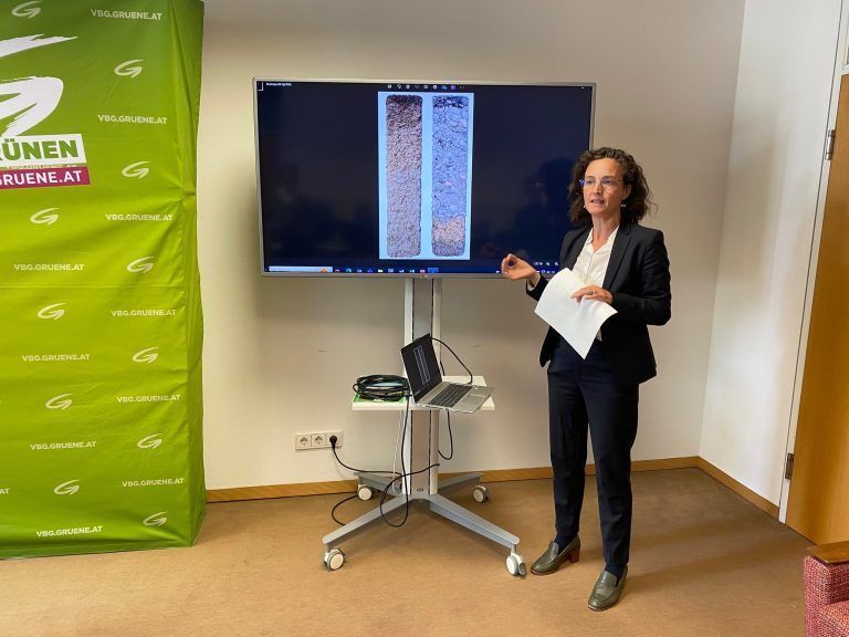 Eva Hammerer und Bernhard Weber, Grüne