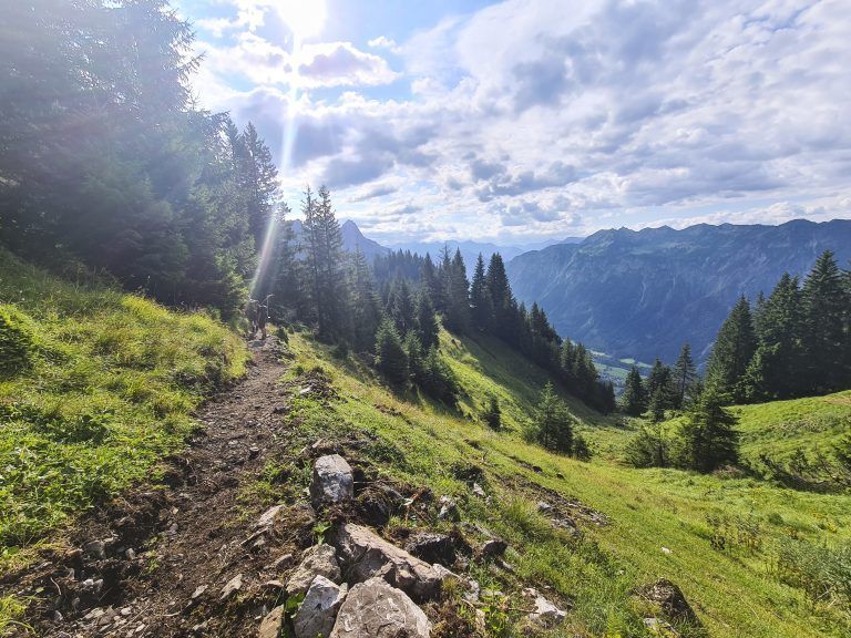 Reaktivierung Hinterbirgweg, Alpenverein Vorarlberg, Wegebauer, Reportage, Alpe Els, Wanderweg