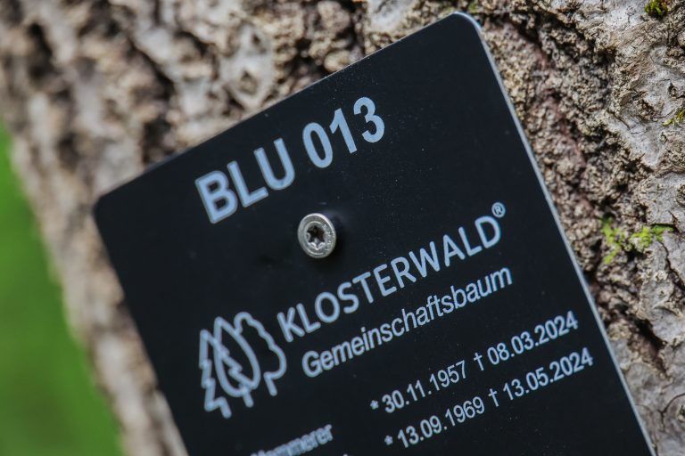 Klosterwald wird erffnet, ab 12:30 Uhr fr Medienvertreter Treffpunkt Gemeindeparkplatz Bludesch, Hauptstra§e 9, Vorabinformation an Medienvertreter mit Interview-Mglichkeiten Klosterwald Geschftsleitung, Brgermeister, Forstverwaltung sowie gemeinntziger Verein ãVergissMichNicht, Sternenkinder FotografieÒ