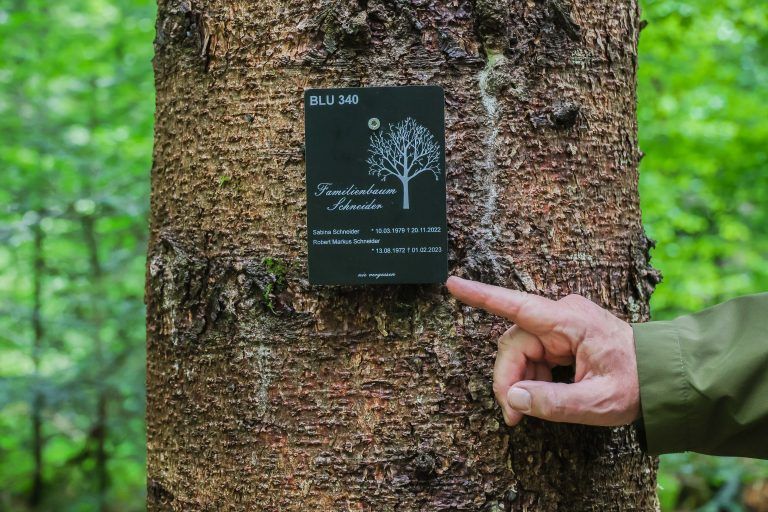Klosterwald wird erffnet, ab 12:30 Uhr fr Medienvertreter Treffpunkt Gemeindeparkplatz Bludesch, Hauptstra§e 9, Vorabinformation an Medienvertreter mit Interview-Mglichkeiten Klosterwald Geschftsleitung, Brgermeister, Forstverwaltung sowie gemeinntziger Verein ãVergissMichNicht, Sternenkinder FotografieÒ