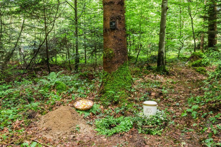 Klosterwald wird erffnet, ab 12:30 Uhr fr Medienvertreter Treffpunkt Gemeindeparkplatz Bludesch, Hauptstra§e 9, Vorabinformation an Medienvertreter mit Interview-Mglichkeiten Klosterwald Geschftsleitung, Brgermeister, Forstverwaltung sowie gemeinntziger Verein ãVergissMichNicht, Sternenkinder FotografieÒ