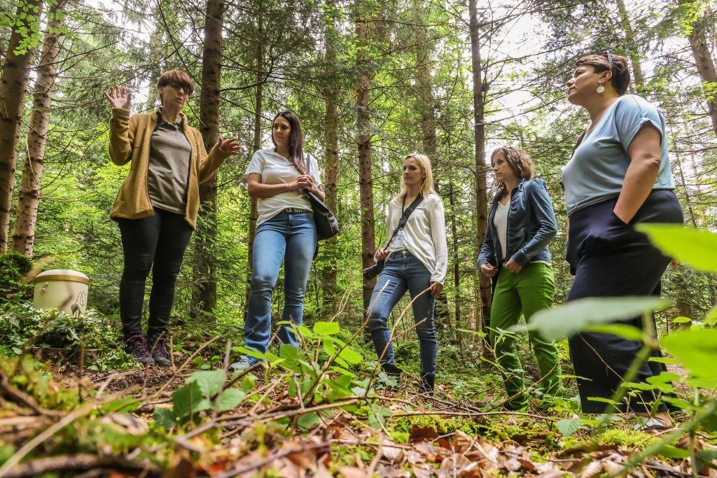 Wie eine Waldbestattung im neu eröffneten Bludescher Klosterwald abläuft