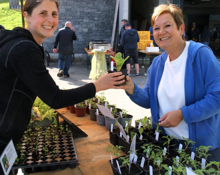 Frühlingszeit ist Gartenzeit: Pflanzenmarkt bot ein vielseitiges Angebot. - Gemeinschaftsevent: Feuerwehr & Obst- und Gartenbauverein Buch