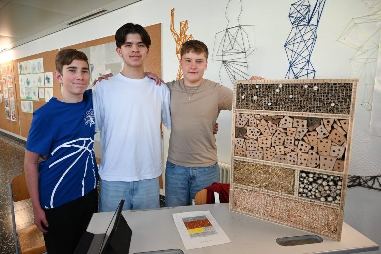Tim, Jonas und Noah bauten ein Insektenhotel für den Kindercampus in Höchst. - Schüler ergreifen Initiative - Schüler ergreifen Initiative