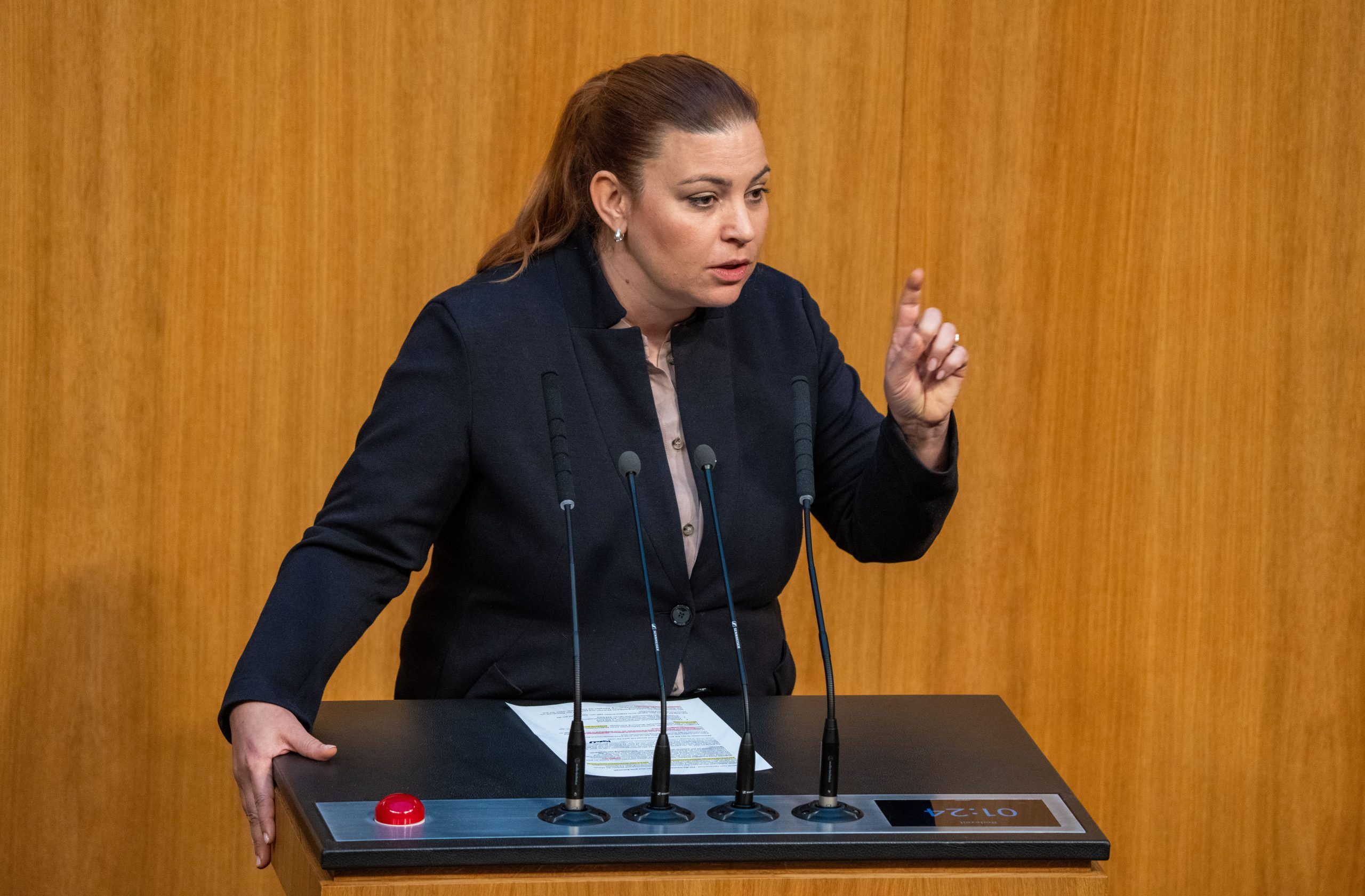 ABD0050_20231215 – WIEN –
STERREICH: Die Abgeordnete Nina Tomaselli (Grne) am Freiatag, 15. Dezember 2023, im Rahmen einer Sitzung des Nationalrates im Parlament in Wien. – FOTO: APA/GEORG HOCHMUTH