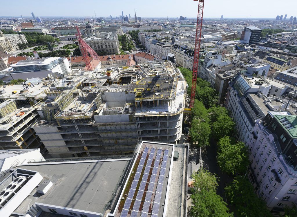 Der Schutz der Vorarlberger Bäume wird zum Politikum