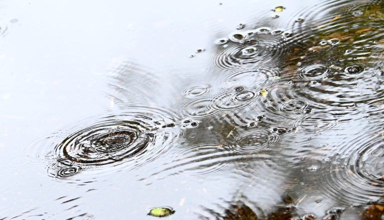 ABD0074_20210830 – SALZBURG –
STERREICH: ++ THEMENBILD ++ Kreise der Regentropfen in einer Wasserlache am Montag, 30. August 2021, in Salzburg. Zur Zeit herrschen herbstlicheTemperaturen und Regenschauer. – FOTO: APA/BARBARA GINDL