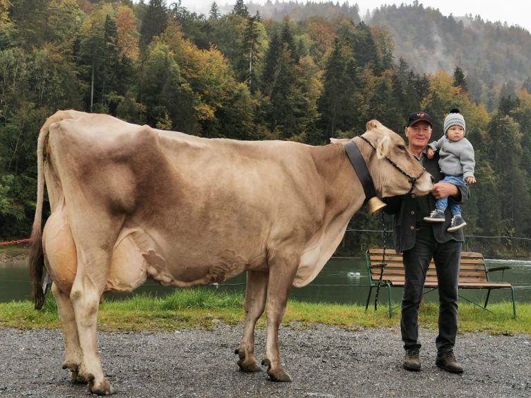 vdt christoph wirth landwirtshcaftsbauer heugala 2024 gewinner