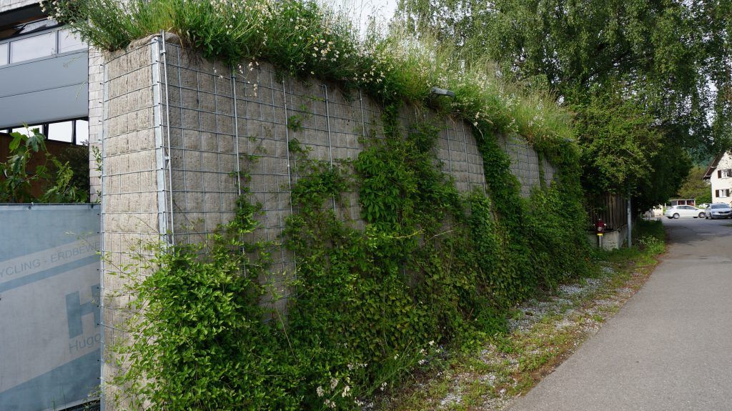 Vorarlberger Unternehmen setzt Meilenstein mit neun Kilometer langer begrünter Lärmschutzwand