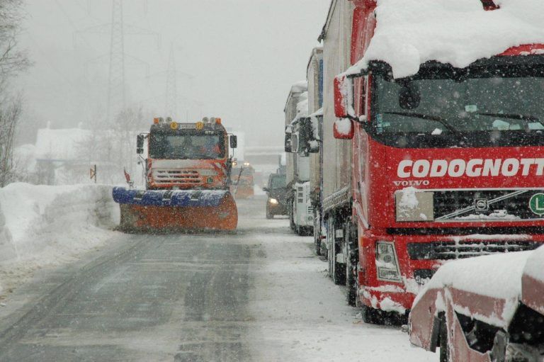 Der Winter 2023/24 war so warm, wie schon lange nicht mehr. 