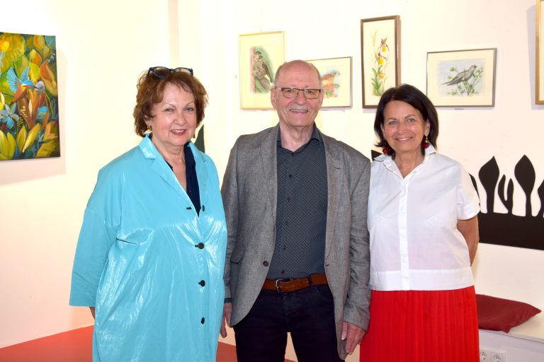Vernissage zur Ausstellung "Biomorpher Augenschmaus", Kellergalerie Kukuphi