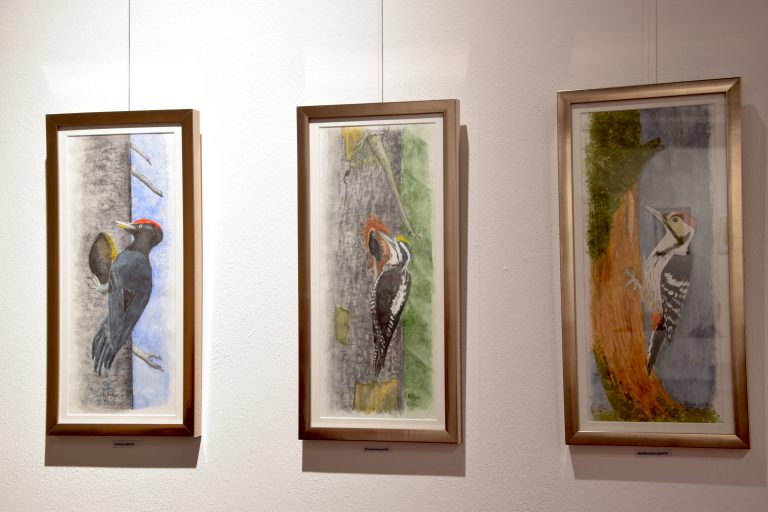 Vernissage zur Ausstellung "Biomorpher Augenschmaus", Kellergalerie Kukuphi