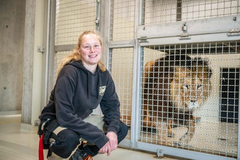 Walter Zoo, Tierpflegerin Janine mit Löwe Atlas, 
