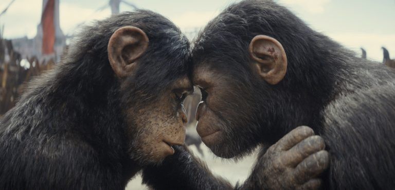 Film Review - Kingdom of the Planet of the Apes