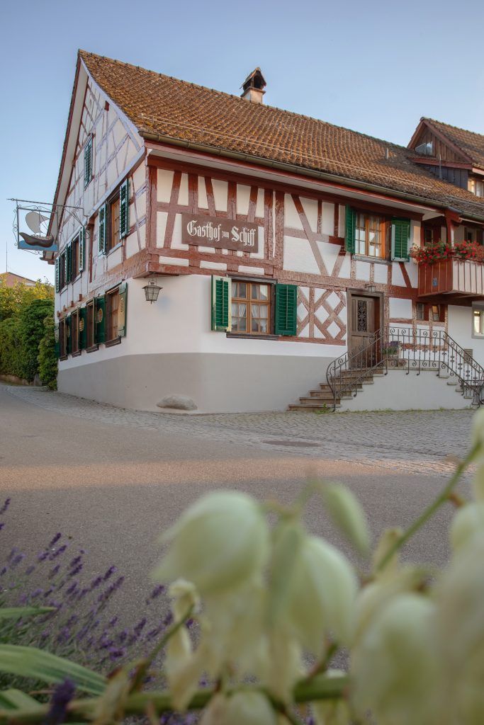 Quaggamuschel-Sauce und Aal statt Felchen: Bodensee-Gastronomen mussten schon vor dem Fangverbot kreativ werden 