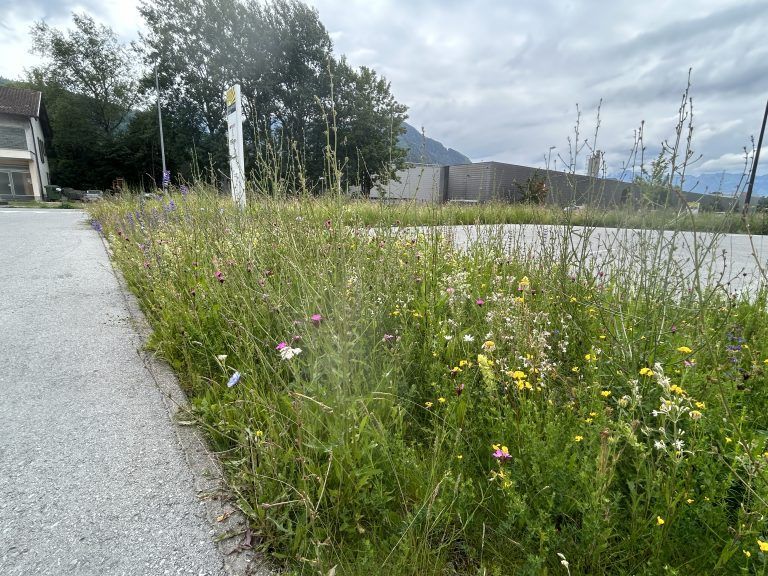 Naturwerteplan Beispiele