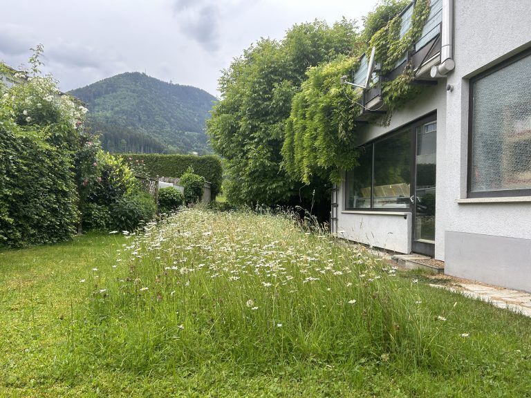Naturwerteplan Beispiele