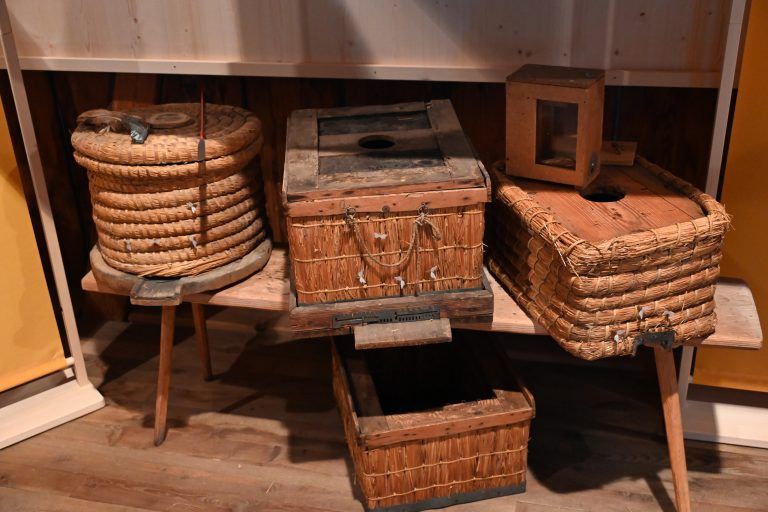 Ausstellungseröffnung Bienen erleben
