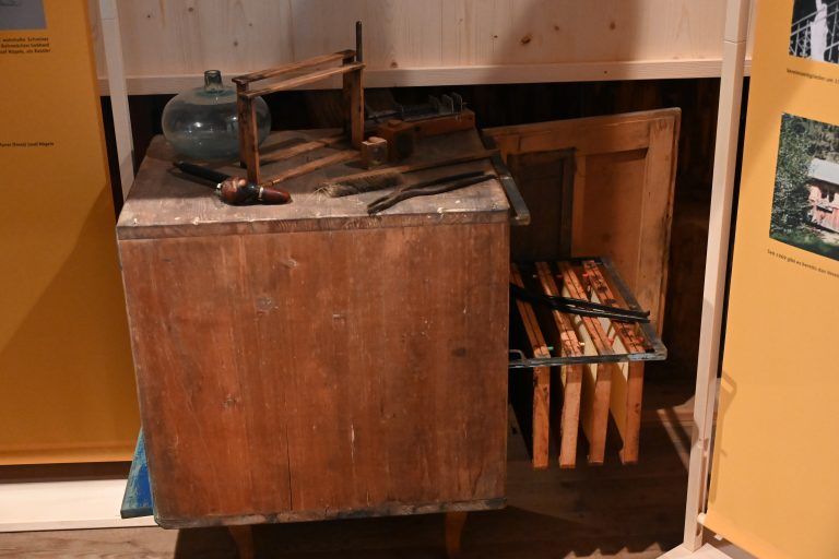 Ausstellungseröffnung Bienen erleben