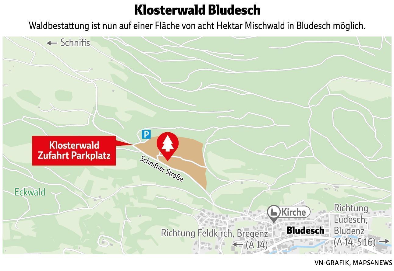 „Der Kreis des Lebens schließt sich hier“ – Warum sich Paul und Maria für eine Baumbestattung entschieden haben