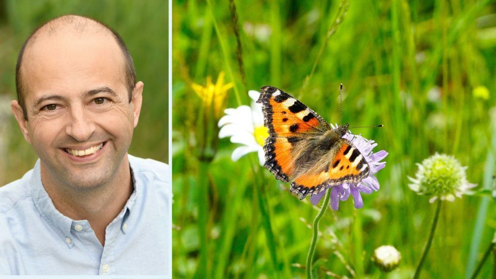 Schmetterlinge als Fieberthermometer der biologischen Vielfalt