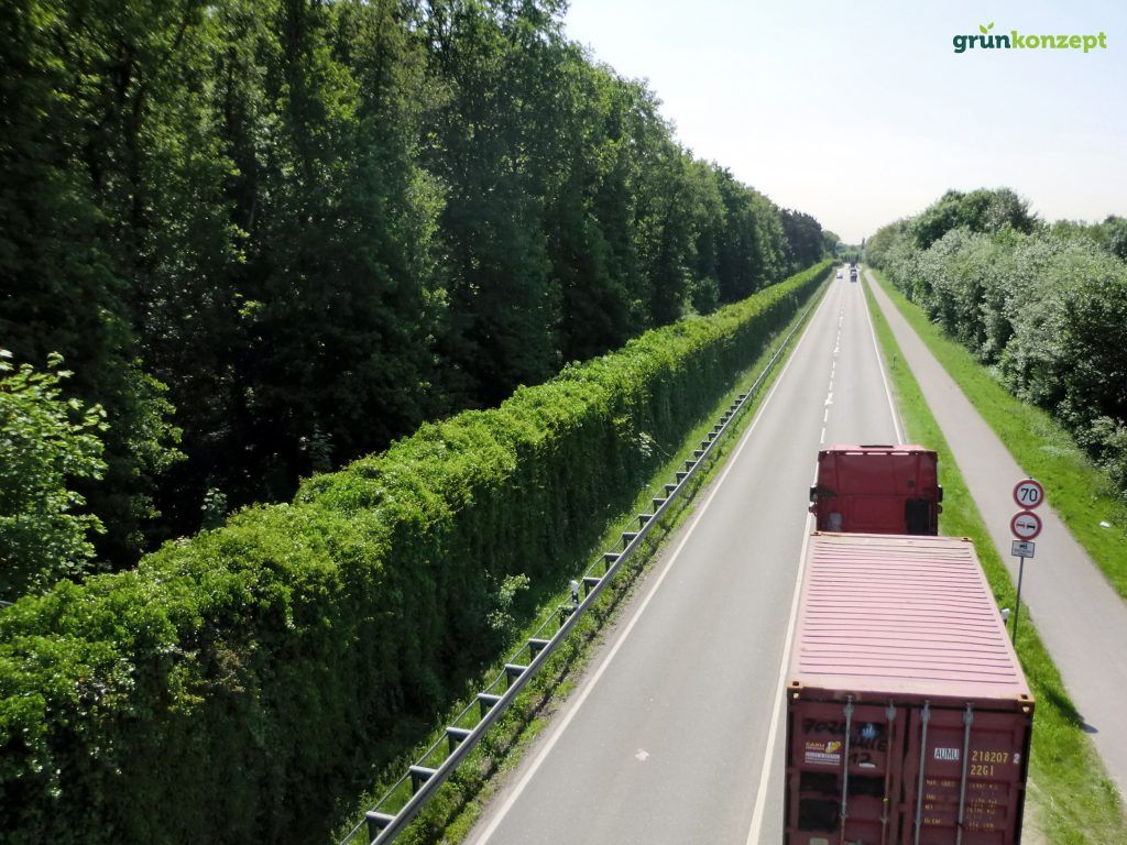 Vorarlberger Unternehmen setzt Meilenstein mit neun Kilometer langer begrünter Lärmschutzwand