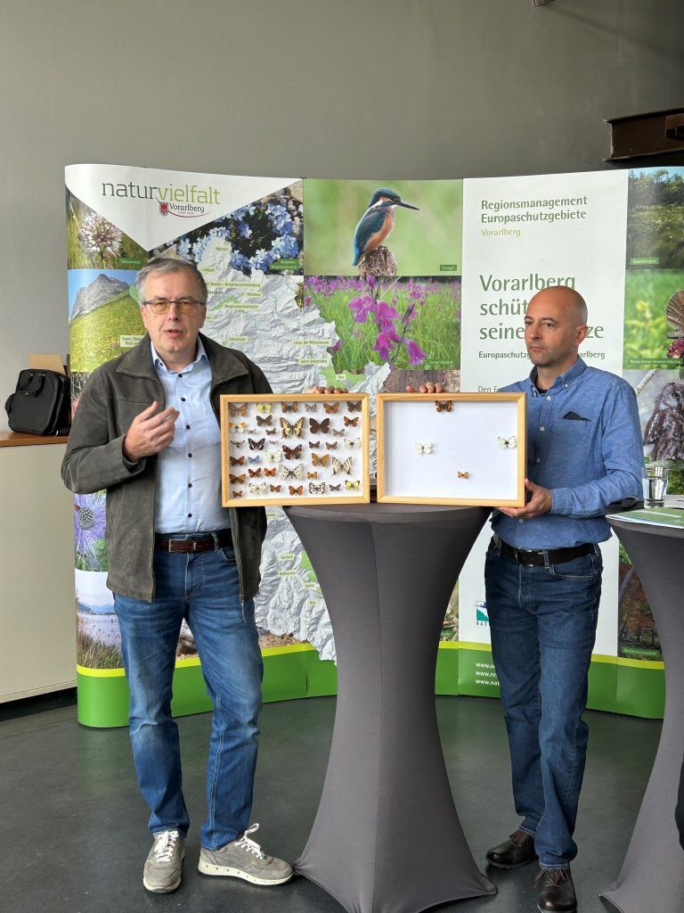 Tagfalter-Monitoring; Tagfalter-Zählung; Pressekonferenz; inatura