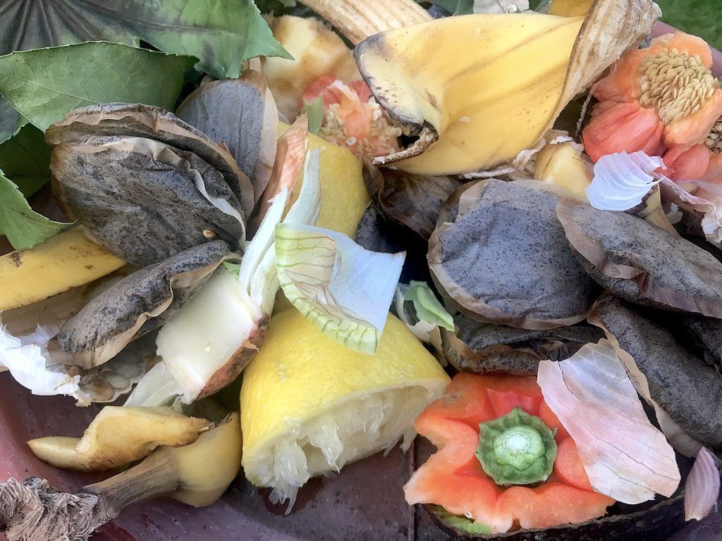 Schildbürgerstreich, nächste Runde: Beim Haushalts-Biomüll ist der Wurm drin