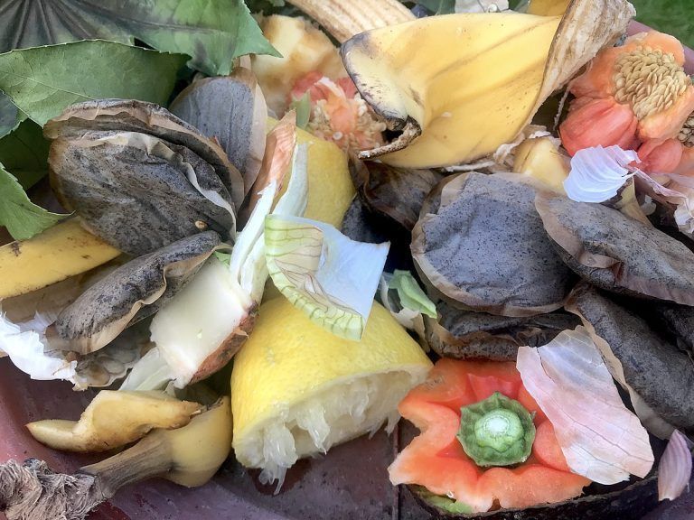 Der Biomüll reist nicht mehr aus Deutschland nach Lustenau