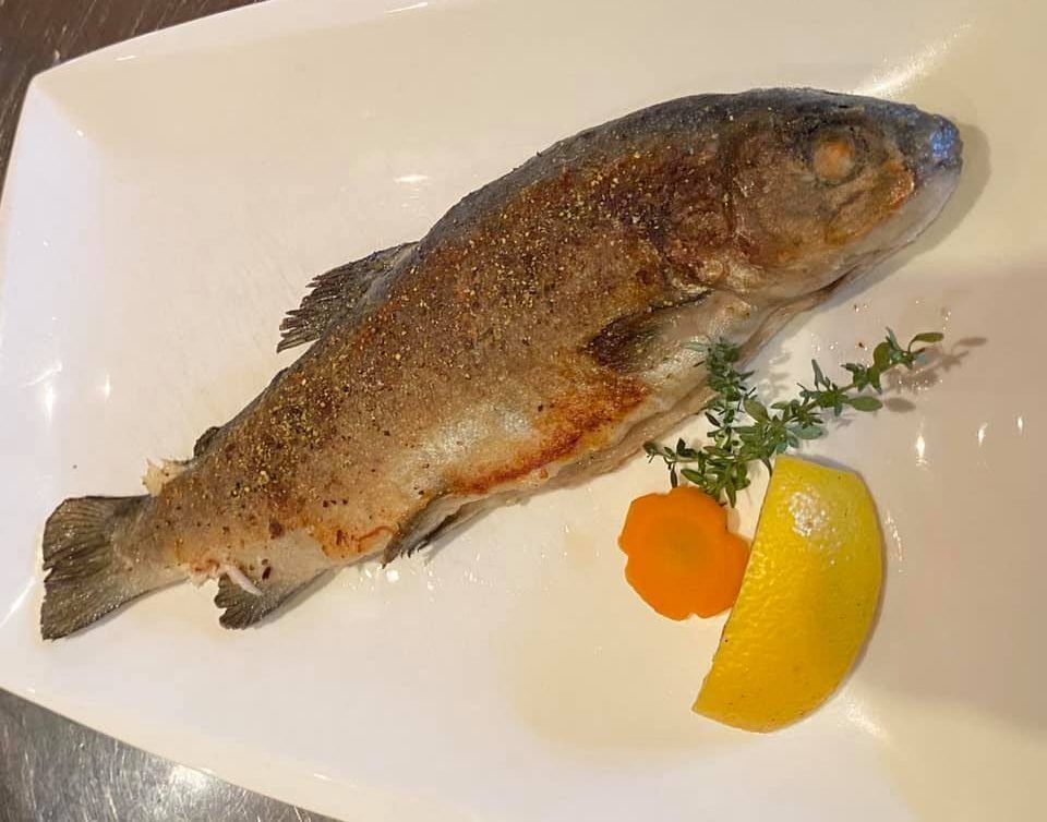 Quaggamuschel-Sauce und Aal statt Felchen: Bodensee-Gastronomen mussten schon vor dem Fangverbot kreativ werden 