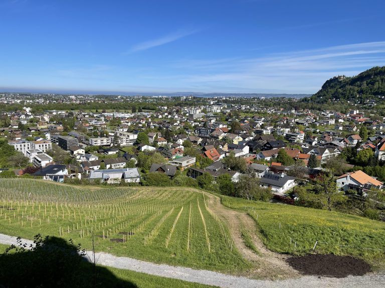 Bürgersturm auf Schloss Wolfurt