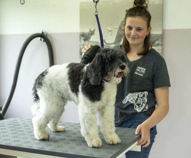Besuch im Katzen und Hunde-Friseursalon Melanie