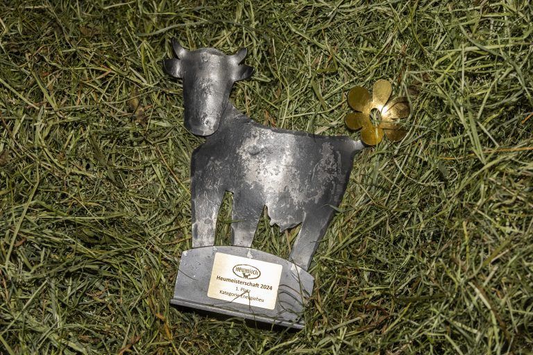 VDT Christoph Wirth Gewinner der Heugala 2024,