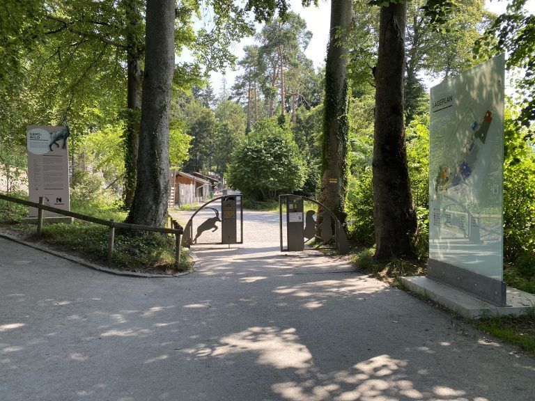 Wildpark Feldkirch braucht Unterstützung beim "Heuen"