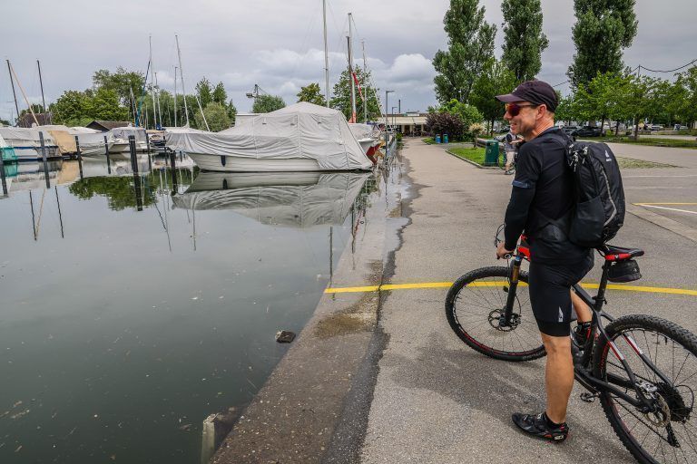 hochwasser hard