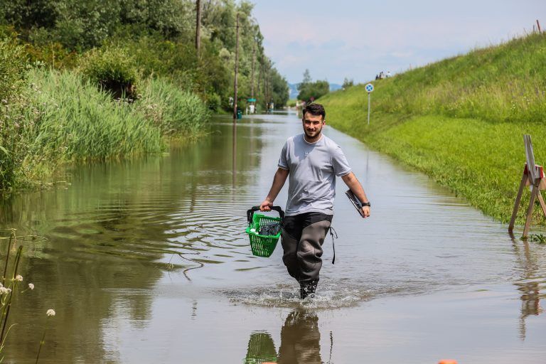 hochwasser fußach, höhe schwedenschanze, kleinvenedighochwasser fußach, höhe schwedenschanze, kleinvenedig, der im grauen adidsas tshirt ist der der wasserproben genommen hat
