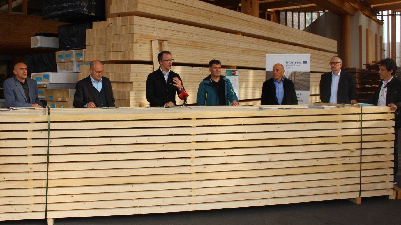 Holz von hier