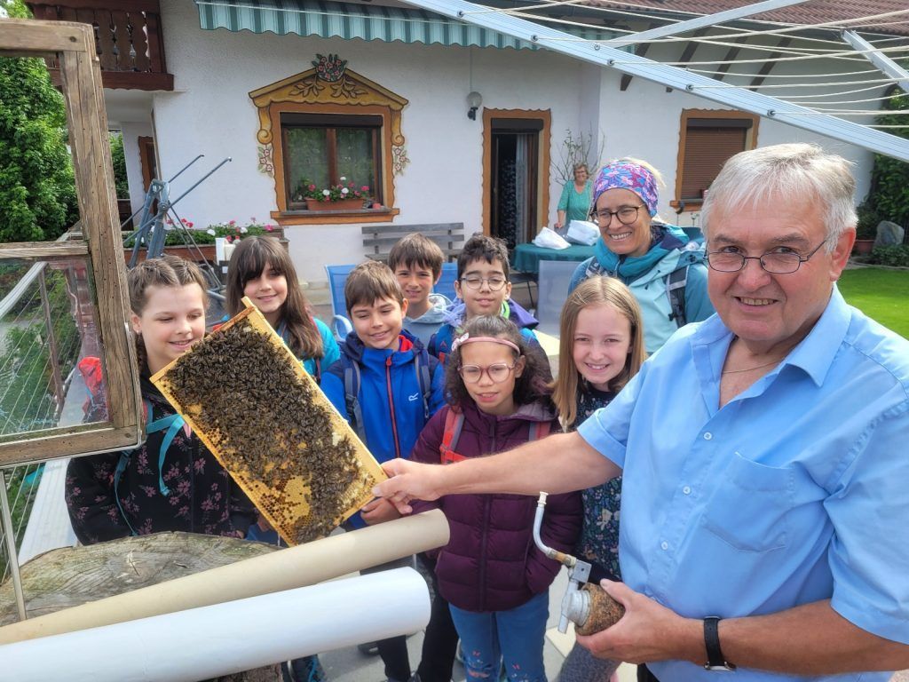 Schulstunde bei den Bienen, Tannen und Alpakas