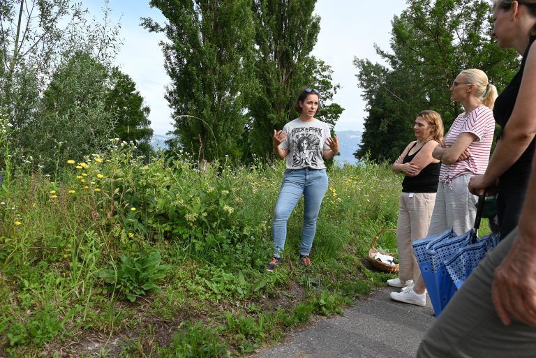 Aufmerksam hörten alle zu und staunten über den Reichtum an Kräutern, der vor unserer Haustüre wächst. - Heilkräuter am Wegrand entdecken - Heilkräuter am Wegrand entdecken
