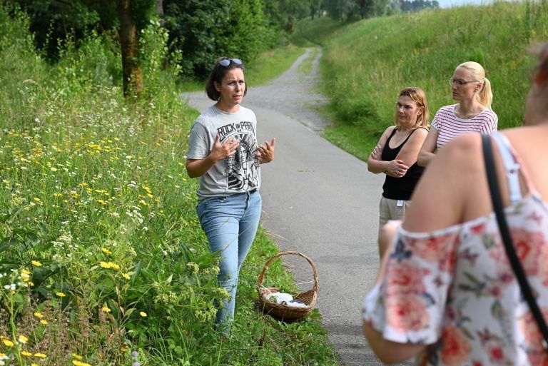 Wilde Wiesen bieten nicht nur für uns Menschen wahre Schätze, sondern auch für die Insekten. - Heilkräuter am Wegrand entdecken - Heilkräuter am Wegrand entdecken