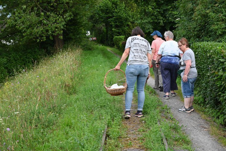 Man muss nicht lange gehen, schon wird man fündig. Entlang des Rheins wachsen viele Wildkräuter. - Heilkräuter am Wegrand entdecken - Heilkräuter am Wegrand entdecken