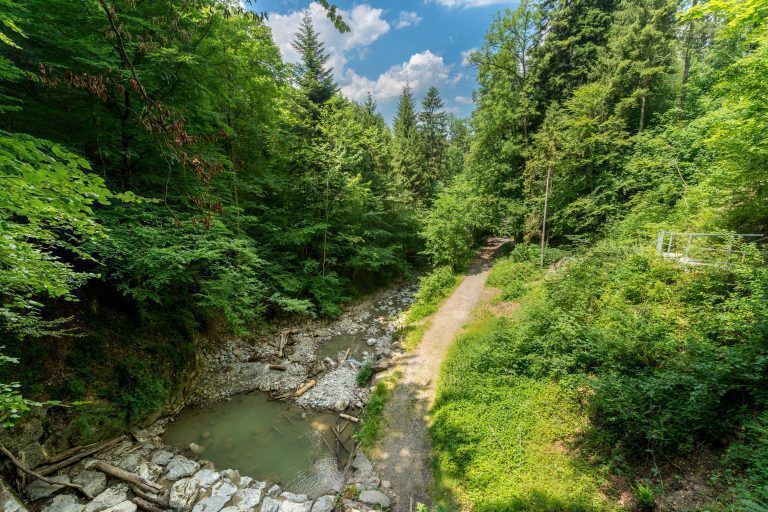 Örflaschlucht