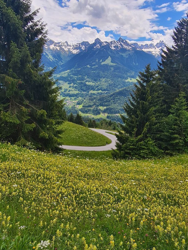 Wanderführung, Wanderführerin, Kräuterwanderung, Stefanie Peiker, Montafon, Rellseck