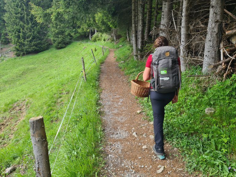 Wanderführung, Wanderführerin, Kräuterwanderung, Stefanie Peiker, Montafon, Rellseck
