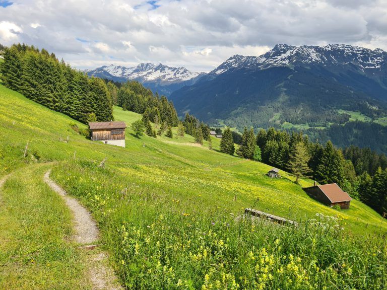 Wanderführung, Wanderführerin, Kräuterwanderung, Stefanie Peiker, Montafon, Rellseck